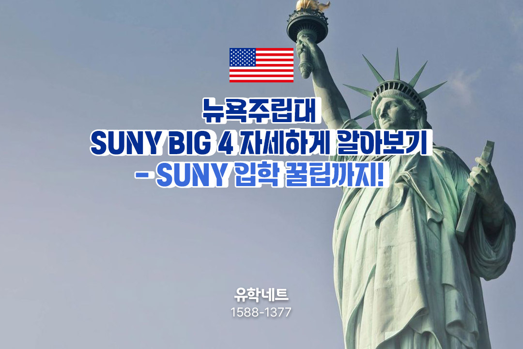 뉴욕주립대 SUNY BIG 4 자세하게 알아보기 - SUNY 입학 꿀팁까지!