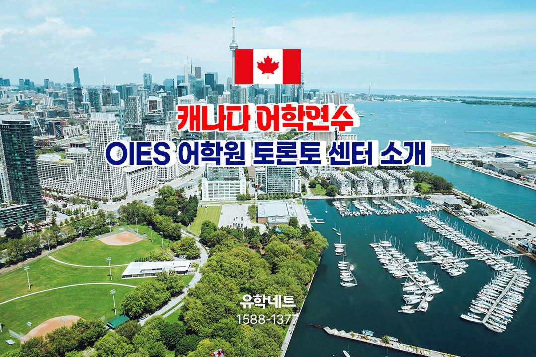 [캐나다 어학연수] 한국인 비율 낮은 OIES 어학원 토론토 센터의 모든 것!