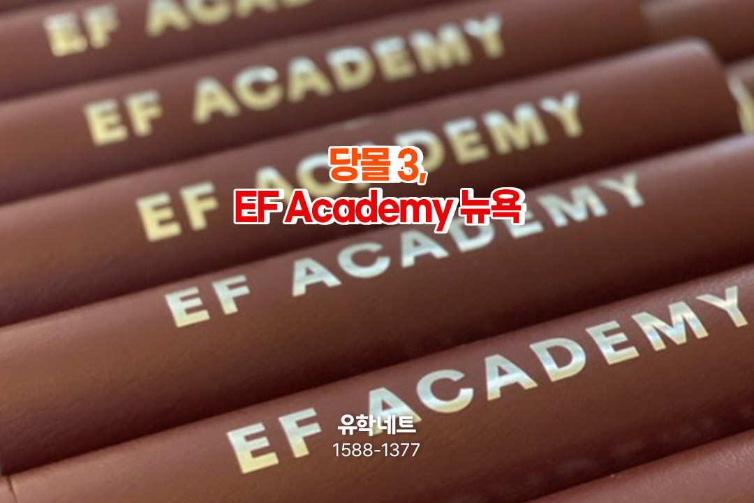 당몰 3, EF Academy 뉴욕 명문사립 보딩스쿨