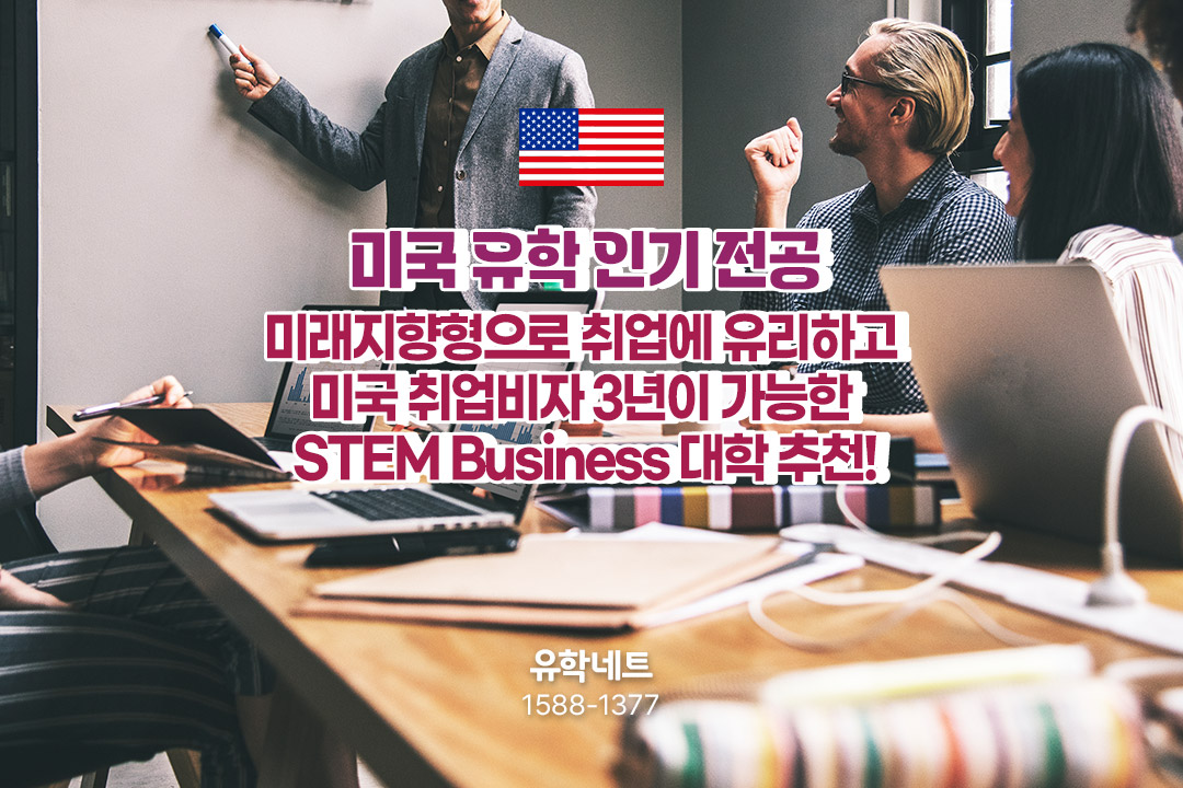 미국 인기 전공 1탄! STEM Business 추천 대학 리스트